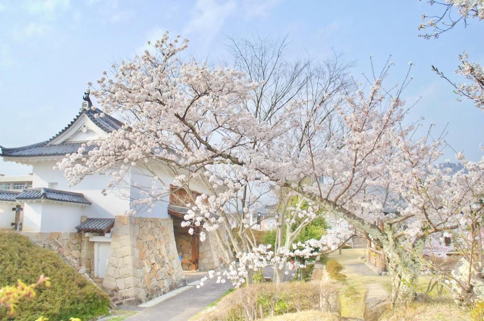 古民家の宿宰嘉庵 Traditionaljapanisehotel Saikaan Майдзуру Екстериор снимка